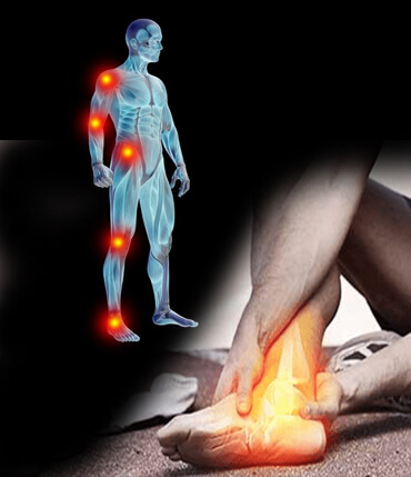 Musculoskeletal Health